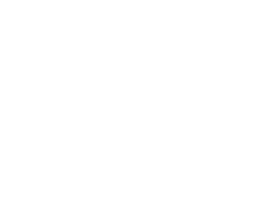 Best Forex Trading Experience 2023